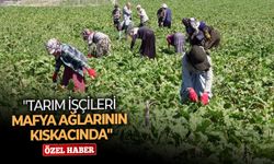 "Tarım işçileri mafya ağlarının kıskacında"