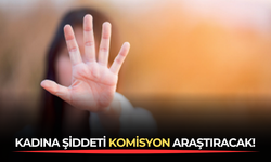 Kadına Şiddeti Komisyon Araştıracak!