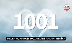 Melek Numarası 1001 Nedir? Anlamı Nedir?