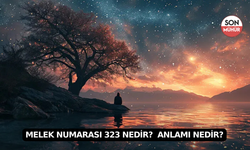 Melek Numarası 323 Nedir?  Anlamı Nedir?