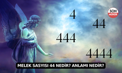 Melek Sasyısı 44 Nedir? Anlamı Nedir?