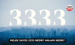 Melek Sayısı 3333 Nedir? Anlamı Nedir?