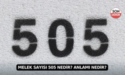 Melek Sayısı 505 Nedir? Anlamı Nedir?