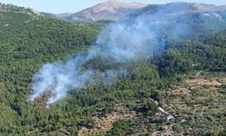 Muğla Dalaman'da çıkan orman yangını kontrol altına alındı