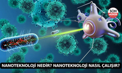 Nanoteknoloji Nedir? Nanoteknoloji Nasıl Çalışır?