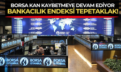 Borsa İstanbul'da kan kaybı durdurulamıyor! Bankacılık endeksi tepetaklak!