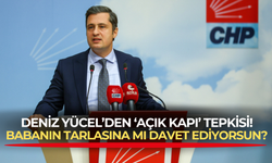 Deniz Yücel'den Cumhurbaşkanı Erdoğan'a sığınmacı tepkisi: Babanın tarlasına mı davet ediyorsun arkadaş?