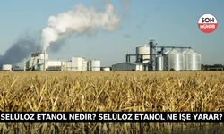 Selüloz Etanol Nedir? Selüloz Etanol Ne İşe Yarar?