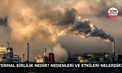 Termal Kirlilik Nedir? Nedenleri ve Etkileri Nelerdir?