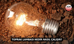 Toprak Lambası Nedir Nasıl Çalışır?