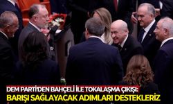 DEM Parti'den Bahçeli ile tokalaşma çıkışı: Barışı sağlayacak adımları destekleriz