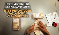 Vergi yüzsüzleri isim isim açıklandı: İşte 5 milyon TL'den fazla borcu olan şirketler