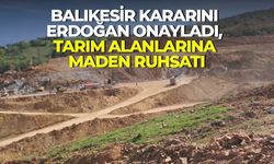 Tarım alanları ve ağaçlıklar maden için kamulaştırıldı