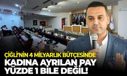 Çiğli’nin 4 milyarlık bütçesinde kadına ayrılan pay yüzde 1 bile değil!