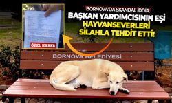 Bornova'da skandal iddia: Başkan yardımcısının eşi hayvanseverleri silahla tehdit etti!