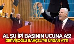 İYİ Parti lideri Dervişoğlu Bahçeli'ye urgan attı: Al şu ipi başının ucuna as!