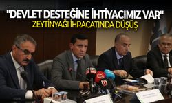 Zeytinyağı ihracatında düşüş: "Devlet desteğine ihtiyacımız var"