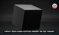 Yapay Zeka Kara Kutusu Nedir? Ne İşe Yarar?