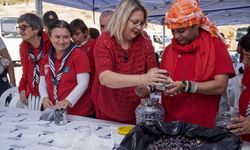 İzmir'de engelli bireyler ve aileleri zeytin hasadında buluştu!