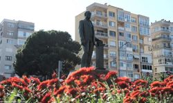 İzmir'in meydanları Atatürk'ün sevdiği kasımpatı ile renkleniyor!