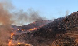 Marmaris'te makilik alanda yangın