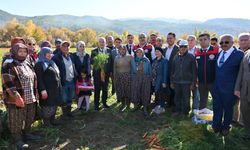 Çakır Havucu için coğrafi işaret başvurusu yapıldı