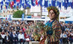 Milas’ta zeytin coşkusu: 10. Zeytin Hasat Şenliği 16-17 Kasım’da başlıyor