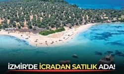 İzmir'de icradan satılık ada!