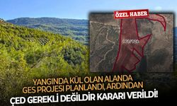 Yangında kül olan alanda GES projesi için ÇED Gerekli Değildir kararı!