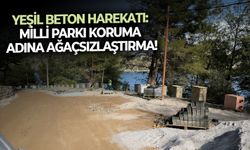 Yeşil beton harekatı: Milli Parkı koruma adına ağaçsızlaştırma!