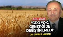 “GDO yok, genetiği de değiştirilmedi”