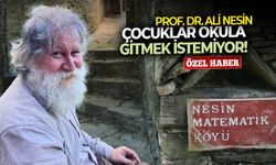 Prof. Dr. Ali Nesin: Çocuklar okula gitmek istemiyor!