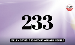 Melek Sayısı 233 Nedir? Anlamı Nedir?