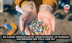 Ne Kadar Mikroplastik Tüketiyorum? Mikroplastik Tüketimini Azaltmanın Yolları