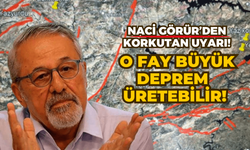 Prof. Dr. Naci Görür: Malatya'daki o fay yeterince bilinmiyor ve büyük deprem üretme potansiyeli var!