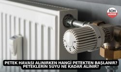 Petek havası alınırken hangi petekten başlanır? Peteklerin suyu ne kadar alınır?