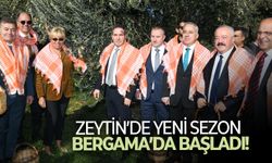 Zeytin’de yeni sezon Bergama’da başladı!