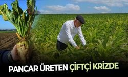 Pancar üreten çiftçi krizde