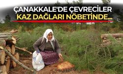 Kaz Dağları'ndaki ağaç kesimine çevrecilerden tepki