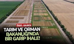 Tarım ve Orman Bakanlığı'nda bir garip ihale!