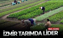 İzmir tarımda lider