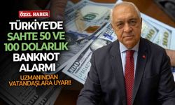 Türkiye'de sahte 50 ve 100 dolarlık banknot alarmı: Uzmanından vatandaşlara uyarı!