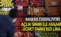 Makas daralıyor: Açlık sınırı ile asgari ücret farkı 1021 lira