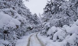 Afyonkarahisar'da kar yağışı nedeniyle okullar tatil