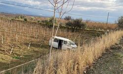 Buldan'da kontrolden çıkan araç üzüm bağına uçtu: 1 yaralı!