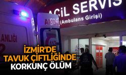 İzmir'de tavuk çiftliğinde korkunç ölüm