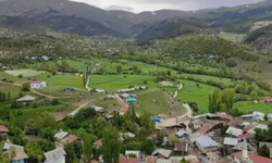 Giresun’un o köyü internet ve şebeke çözümü bekliyor