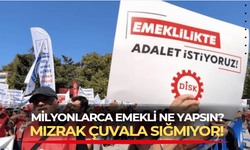 DİSK Araştırma Merkezi: TÜİK de itiraf etti! Emeklilerin pastadaki payı küçüldü