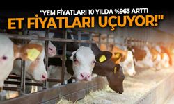 "Yem fiyatları 10 yılda %963 arttı, et fiyatları uçuyor!"