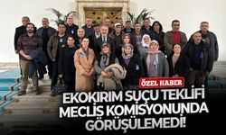 Ekokırım suçu teklifi meclis komisyonunda görüşülemedi!